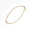 Circle Gold Chain w/ Charm Closure