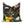 Decorative pillow with bird and floral pattern on a black background