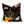 Decorative pillow with bird and floral pattern on a black background
