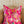 Featherington- Pink Linen Euro Pillow